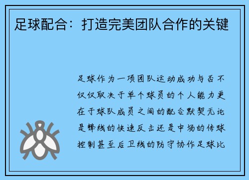 足球配合：打造完美团队合作的关键