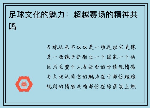 足球文化的魅力：超越赛场的精神共鸣